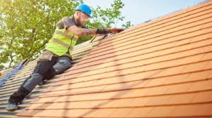 Best Roof Maintenance and Cleaning  in Roslyn Heights, NY