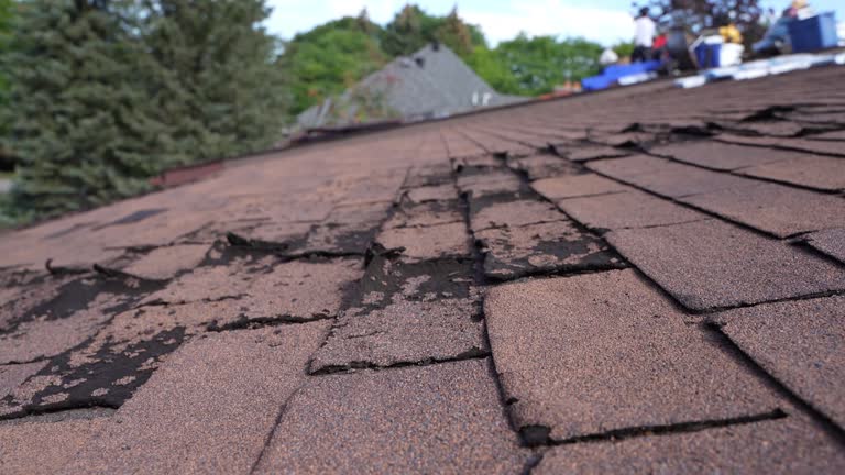 Best Roof Ventilation Installation  in Roslyn Heights, NY
