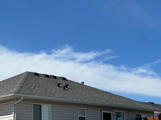 Best Flat Roofing  in Roslyn Heights, NY